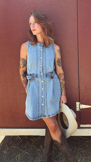 Silver Springs Denim Button Up Dress