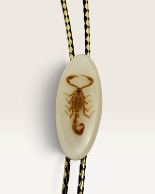 Scorpion in Resin Bolo Tie